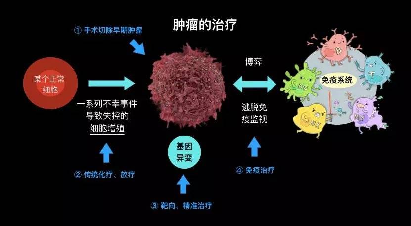 急性白血病治好后可以生孩子吗_急性白血病治好后能活多久_急性白血病能治好吗