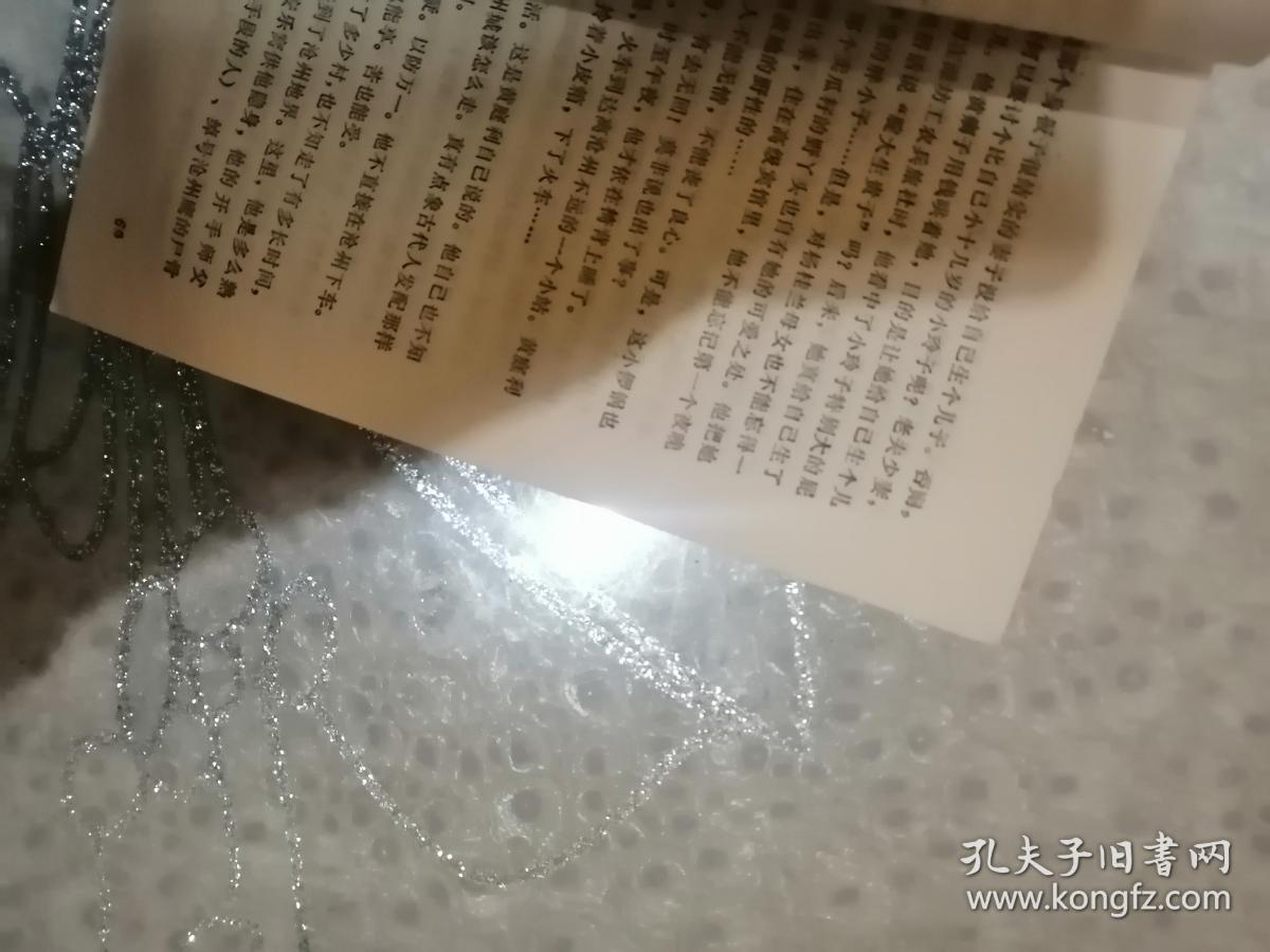 追捕贼王 电视剧-追捕贼王：犯罪与正义的较量，人性的复杂之旅