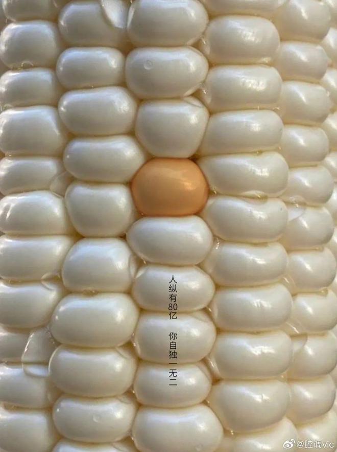 杭州虎色广告有限公司_上海冶虎金属材料有限_杭州虎业服饰