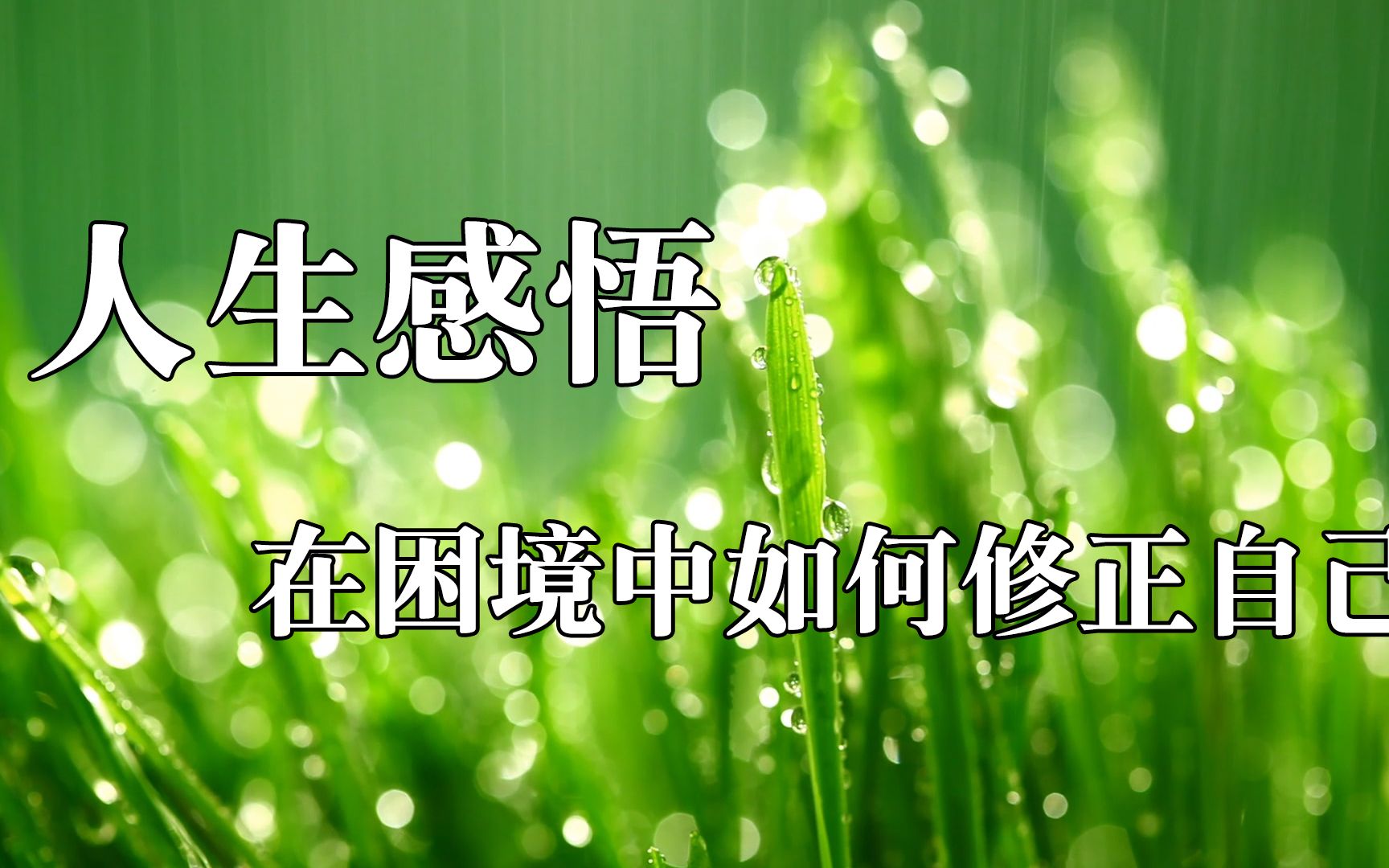 tp网络摄像头怎么在电脑连接_tpwan_tp玩家指令