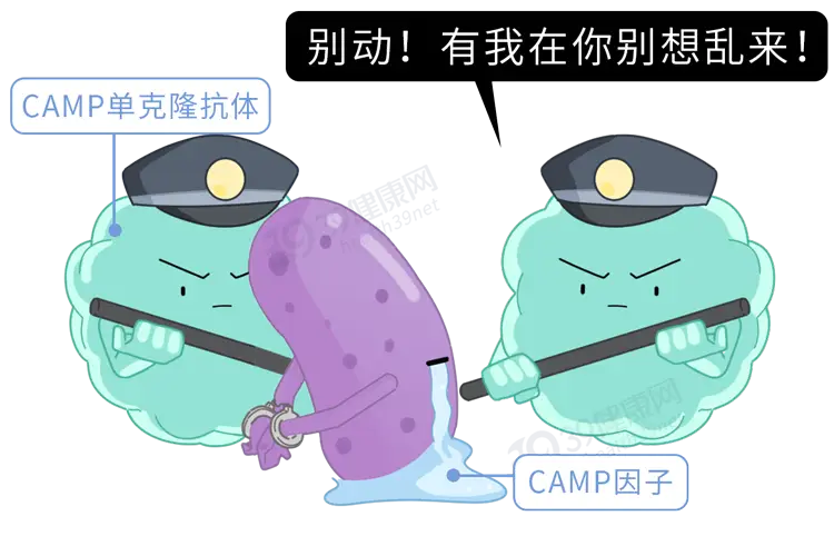 克罗恩饮食注意事项_克罗恩饮食护理_克罗恩饮食食谱