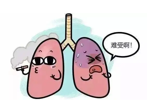 肺结核性继发是什么意思_肺结核继发性有传染性吗_什么是继发性肺结核