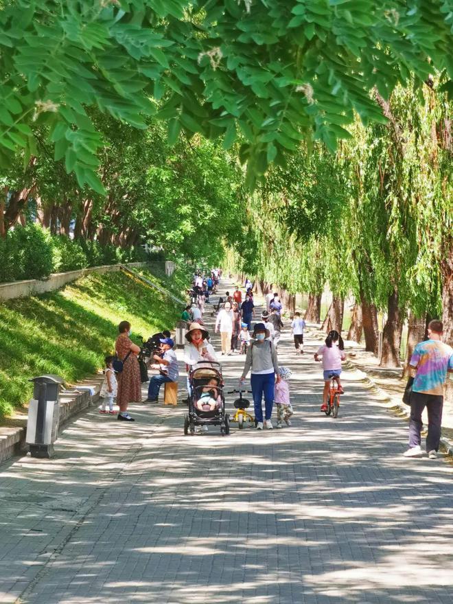朝阳区双桥属于哪个镇_北京市朝阳区双桥_朝阳区双桥