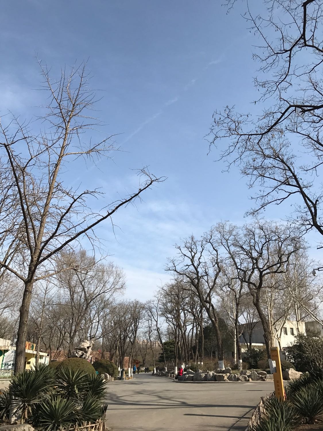 济南市无影山6号项目_济南市无影山_济南无影山市场