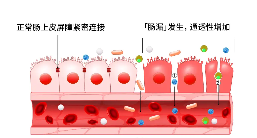 什么是润滑系统的功用_润滑系统的功用有哪些_润滑系统有何功用