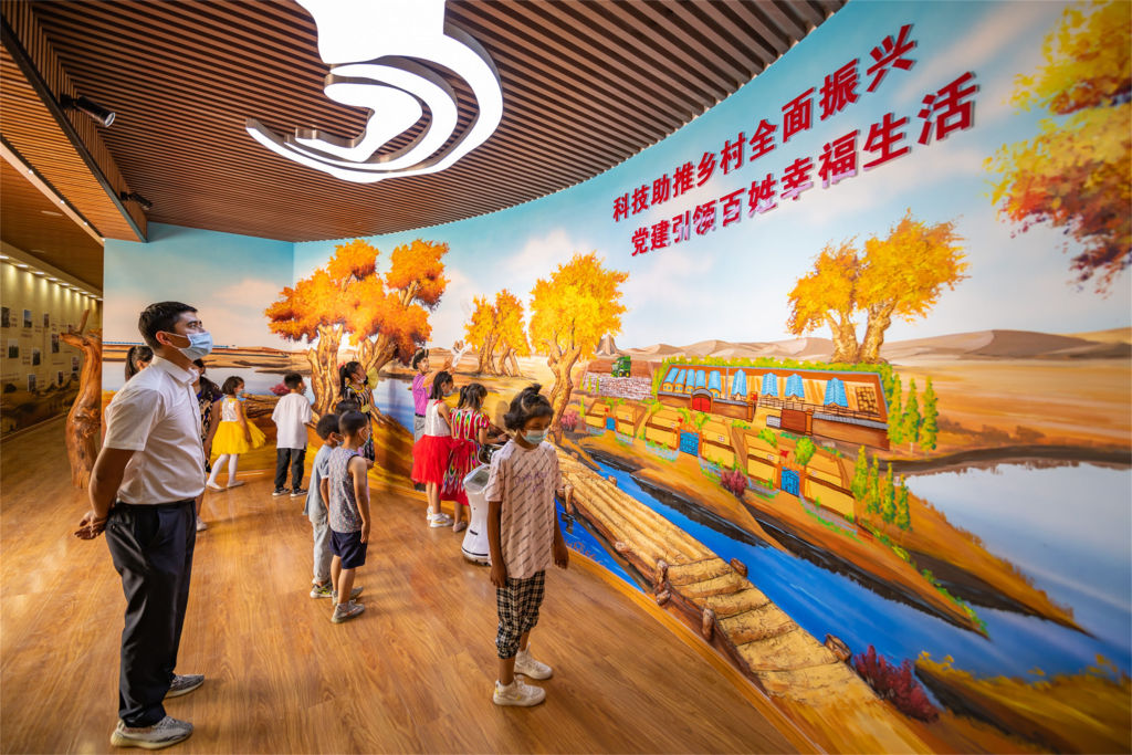 手机视频找回软件_找回视频软件手机版免费_免费找回手机删除的视频软件