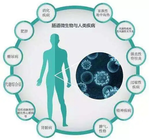 克罗恩关节炎症指什么_克罗恩关节痛_克罗恩病关节炎