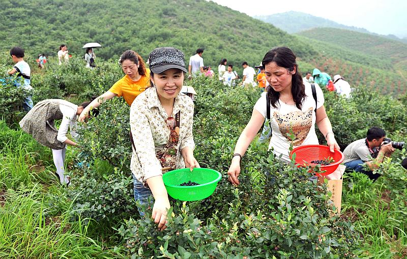shopnc开发手册下载_shopnc授权价格_shopnc下载