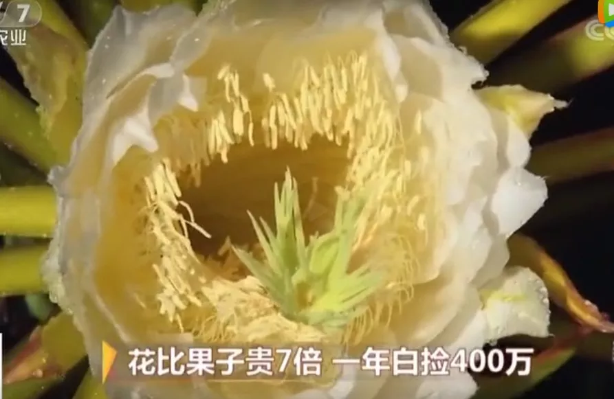 lims系统价格_lims系统_lims公司