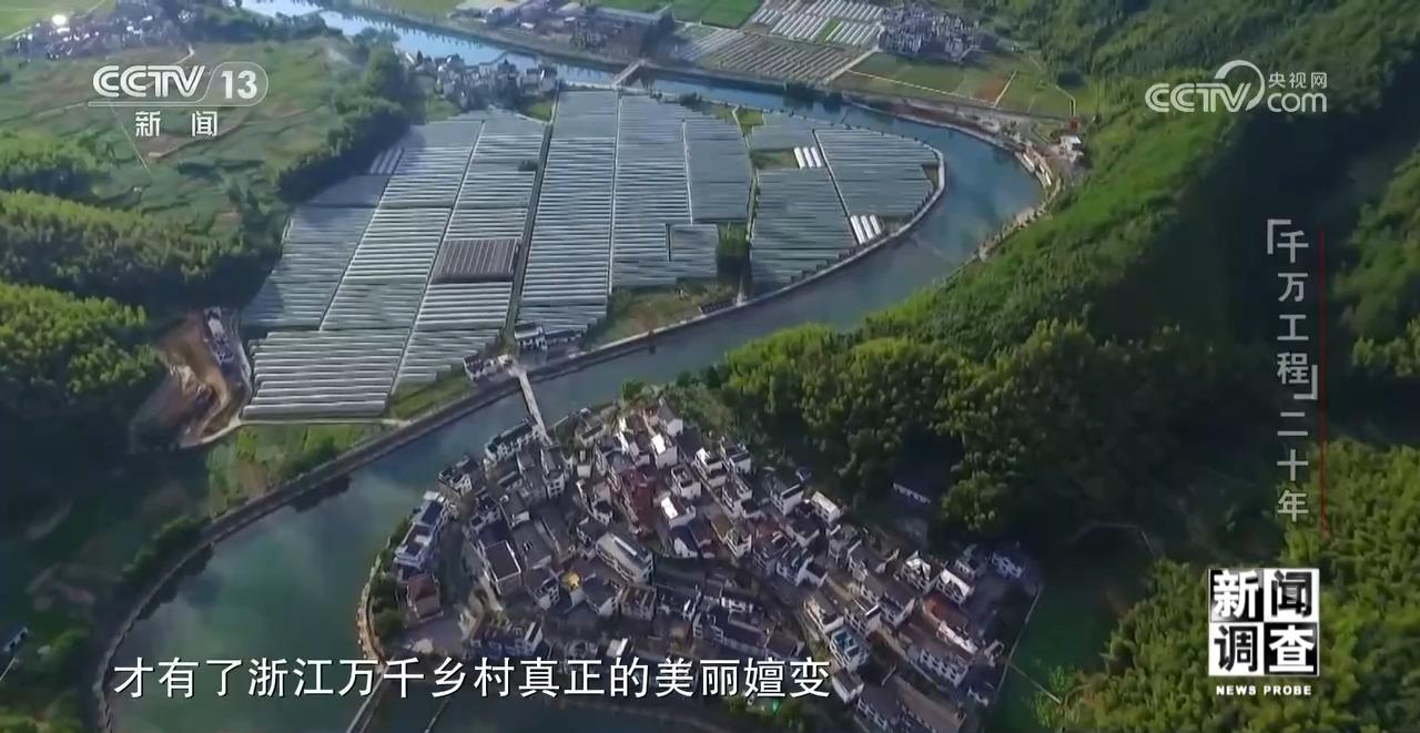 选择字体颜色_wps选中文字没有颜色_为什么在wps中选中字体颜色为无