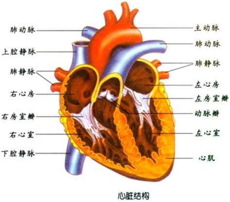 借阅图书规则顺口溜_图书规则借阅顺口溜怎么写_图书借阅规矩