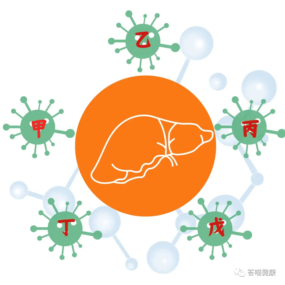 病毒性肺炎治疗主要以什么为主_病毒性肺炎怎么治疗_病毒性肺炎治疗