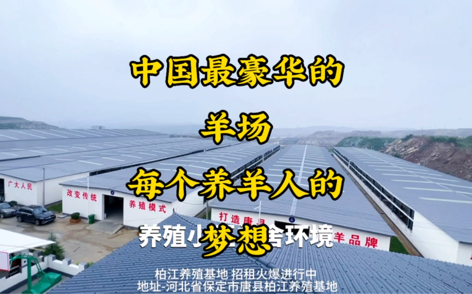中国养羊大王_大型养羊基地殖场图片_中国最大的养羊基地