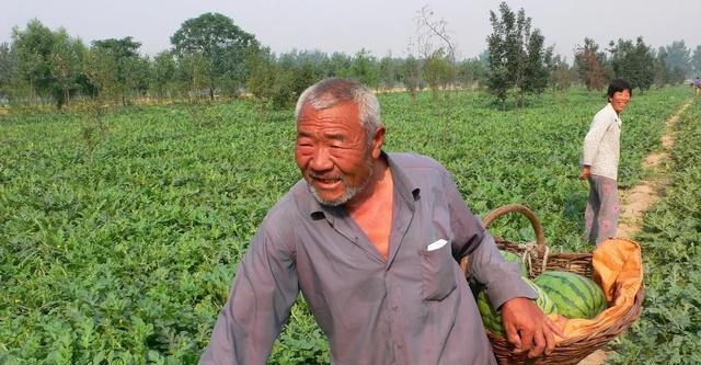 身份证识别代码_身份证号码编码器_身份证编码算法