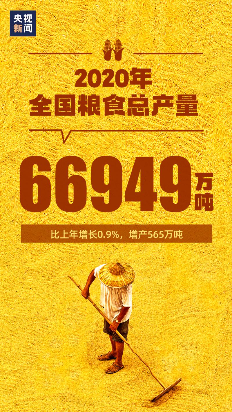 身份证查成绩单_证查成绩身份号用什么格式_怎么用身份证号查四级成绩