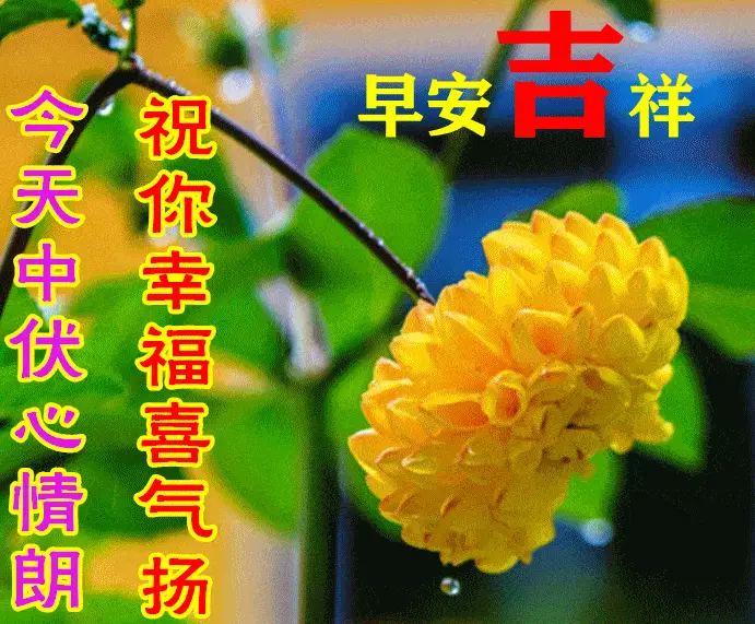 百度云相册_recovermyfiles百度云_百度云资源共享实时群组