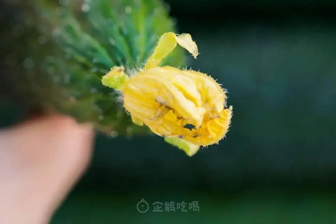 监控报警系统软件_安防监控报警系统_之软监控报警系统v4.0.6