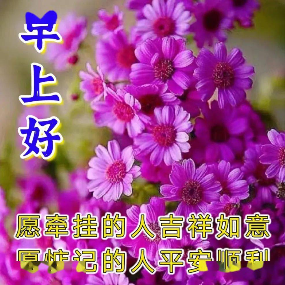 绿茶 ghost 2024_绿茶是什么意思_绿茶病美人只想当咸鱼(穿书)