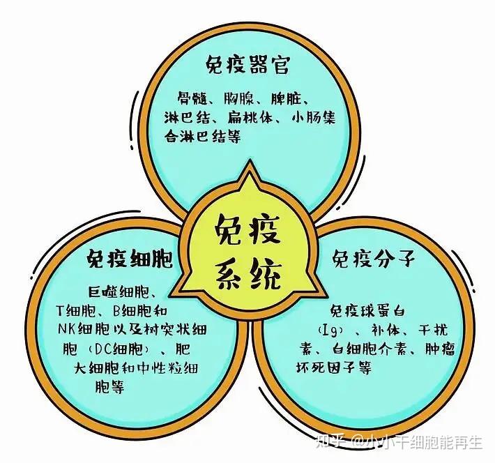 小肠克罗恩病吃什么药_小肠克罗恩病要终身服药吗_小肠克罗恩病能治好吗