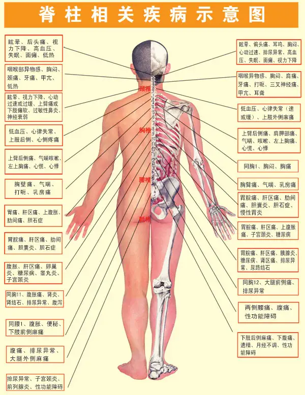 后背疼前胸胸椎疼_胸椎 前胸后背疼_后背疼前胸胸椎疼痛