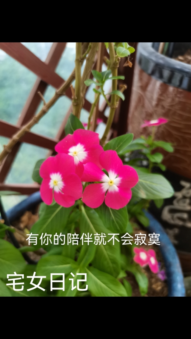 大金集中控制器接线_大金集中控制器说明书_大金集中控制器安装说明书