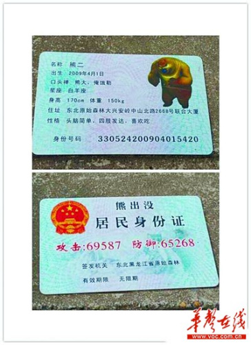 身份证号证件号大全_身风证号码_身份证号码大全和地址