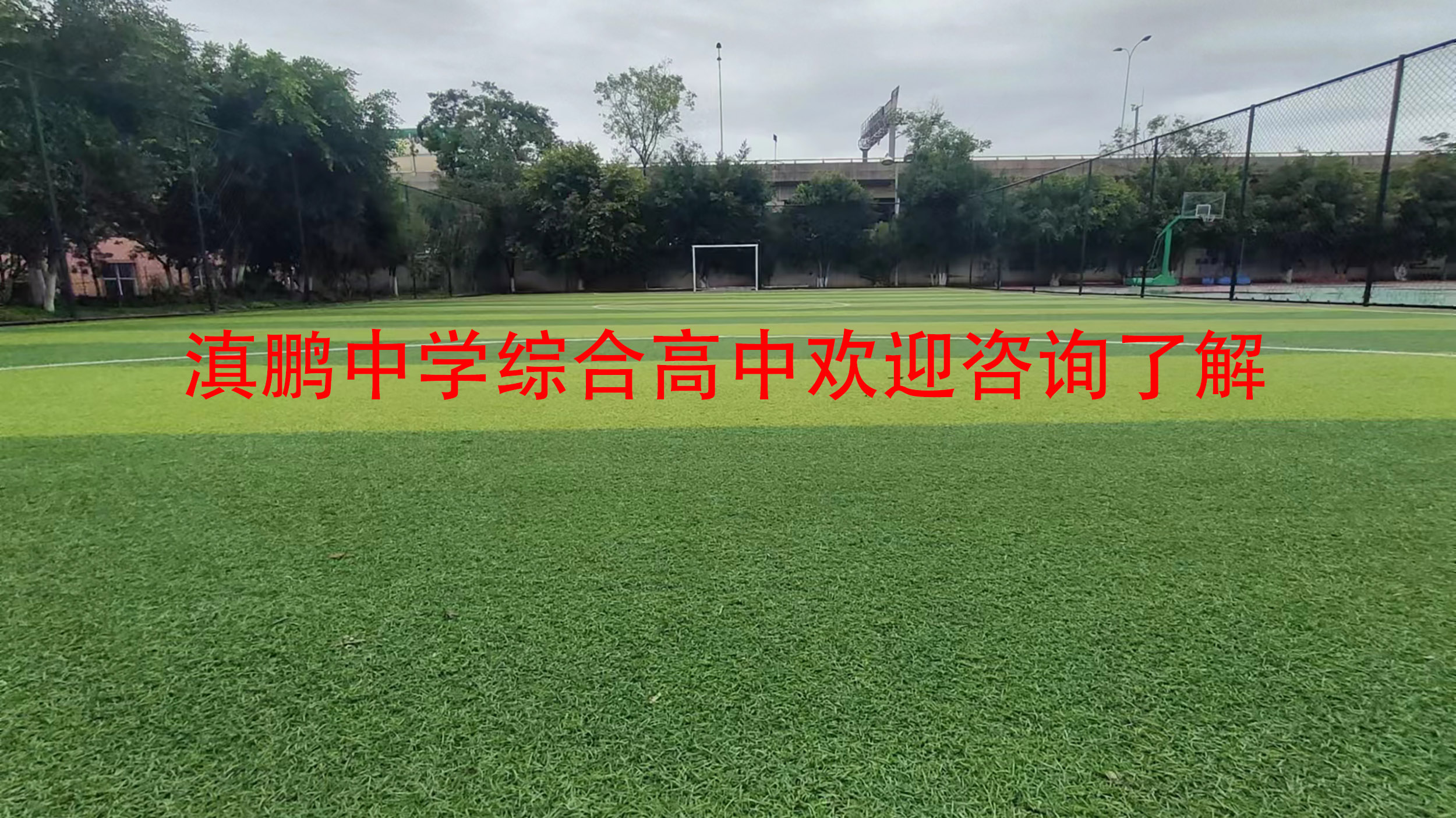衡阳市中等职业专业学校_湖南医药中等职业专业学校_中等职业学校专业