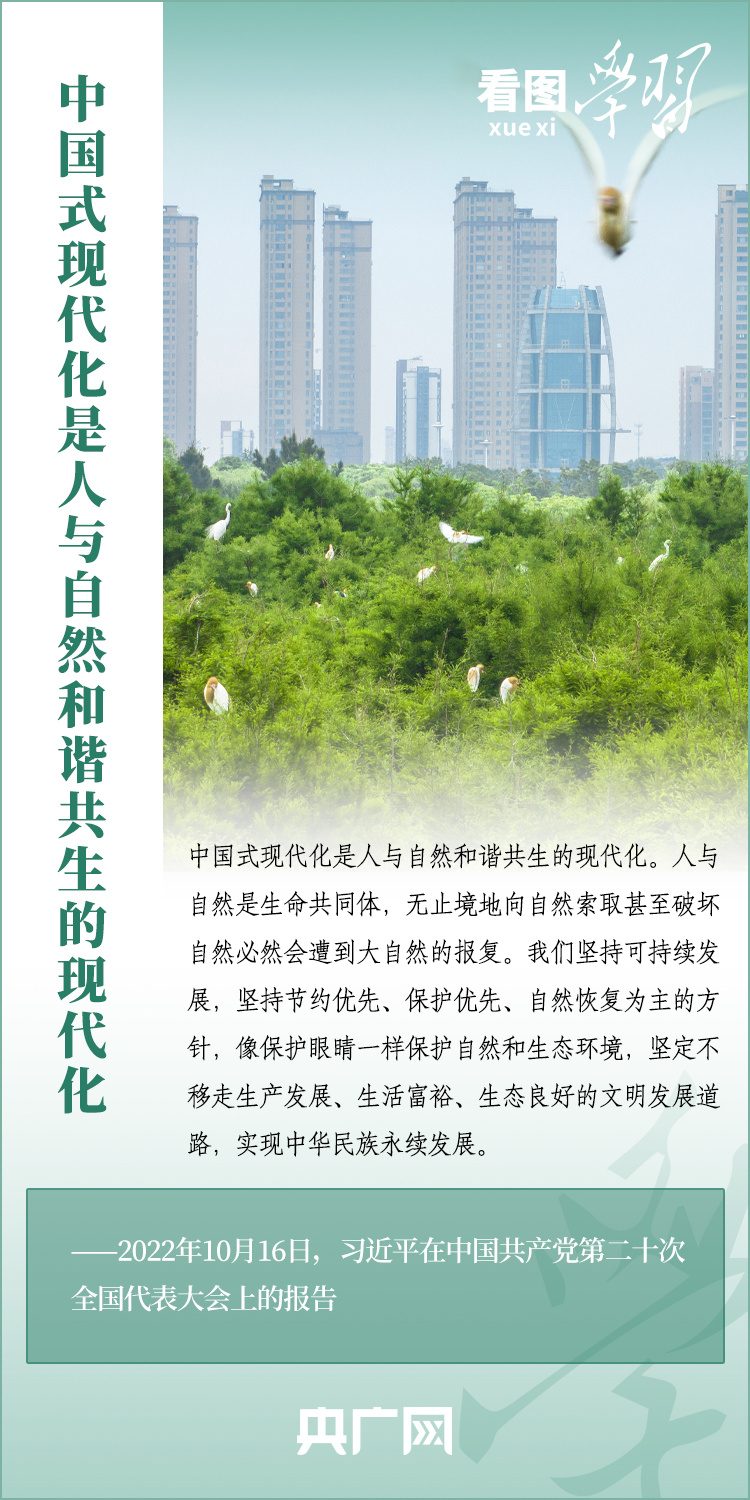导线测量的优缺点_导线测量作用有哪些_测量导线的作用