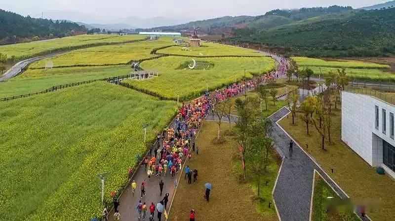 通达2019版oa_通达oa2024升级2011_通达oa2016