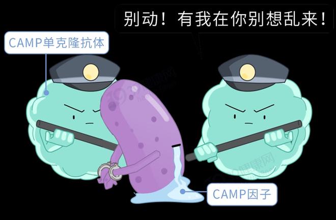 克罗恩打类克多久会有效果_克罗恩打类克效果好吗_克罗恩打类克一个疗程管几年