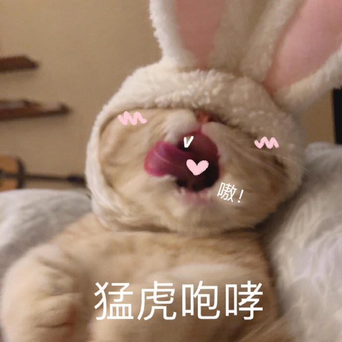 分区助手修复分区_分区助手怎么修复坏道_分区助手修复错误