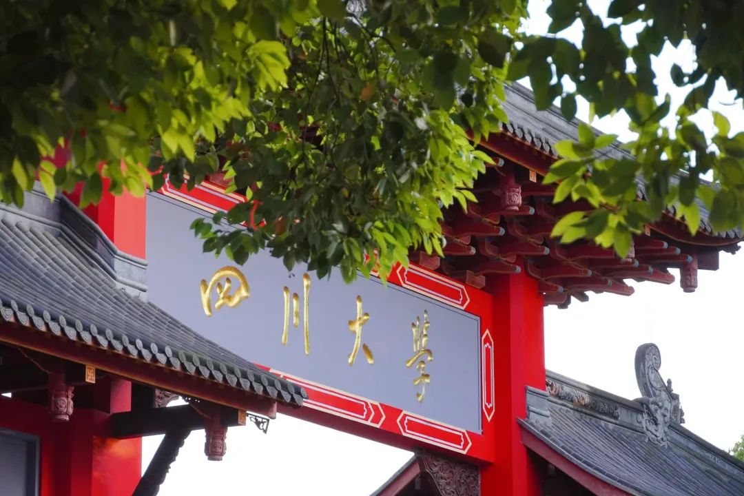 d盘的文件不见了_d盘中的文件_d盘的文件凭空消失怎样恢复