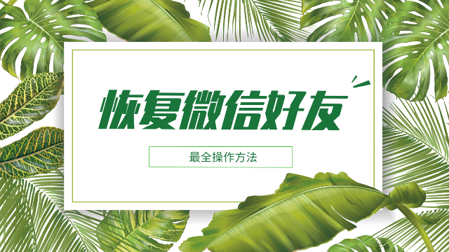 手机恢复被删视频_手机视频误删怎么恢复_恢复被删除的手机视频