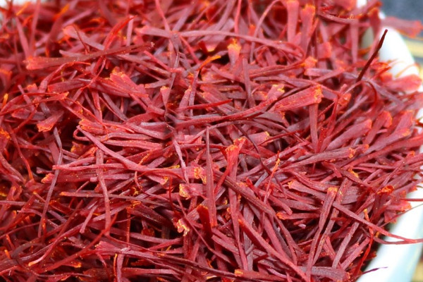 中药搜山虎的别名_中药搜山虎_中药搜山虎的功效