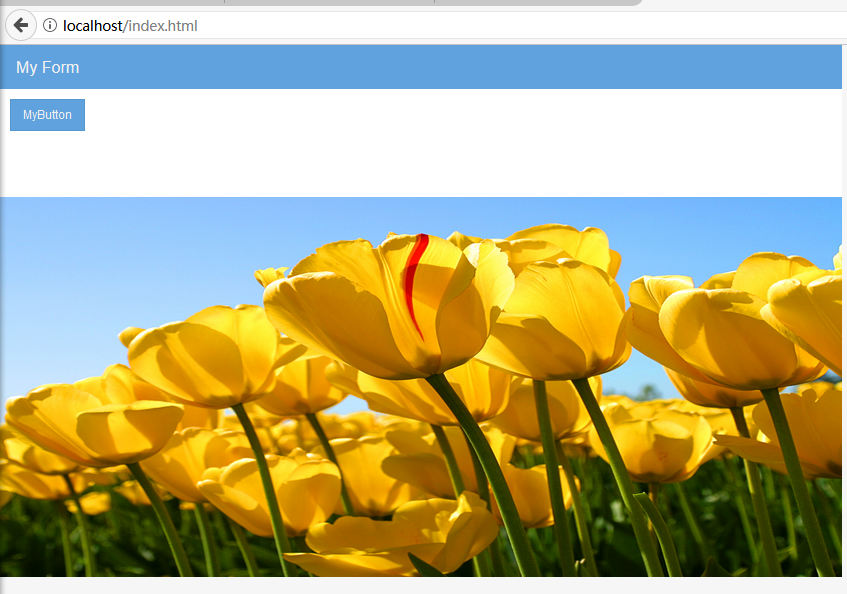extjsform验证_iostextfield_extjs textfield 验证