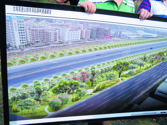 道路绿化设计方案_道路绿化设计方案文本_绿化道路方案设计图