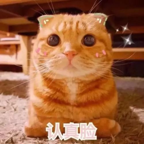 道路监控摄像头原理_道路监控摄像机_道路摄像机的作用