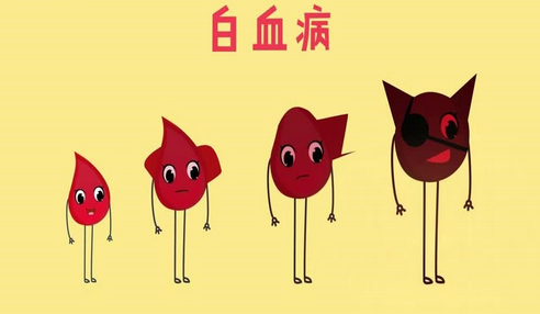 急性白血病能活多久_急性白血病活多长时间_急性白血病活不过3个月