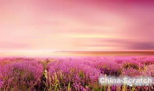 伪代码写算法可以中英文混用吗_android伪代码怎么写_伪代码写法