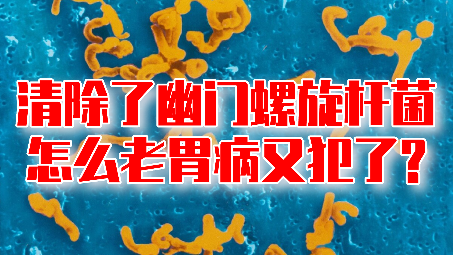 胃病能治愈吗_治愈胃病的药_治愈胃病的食物