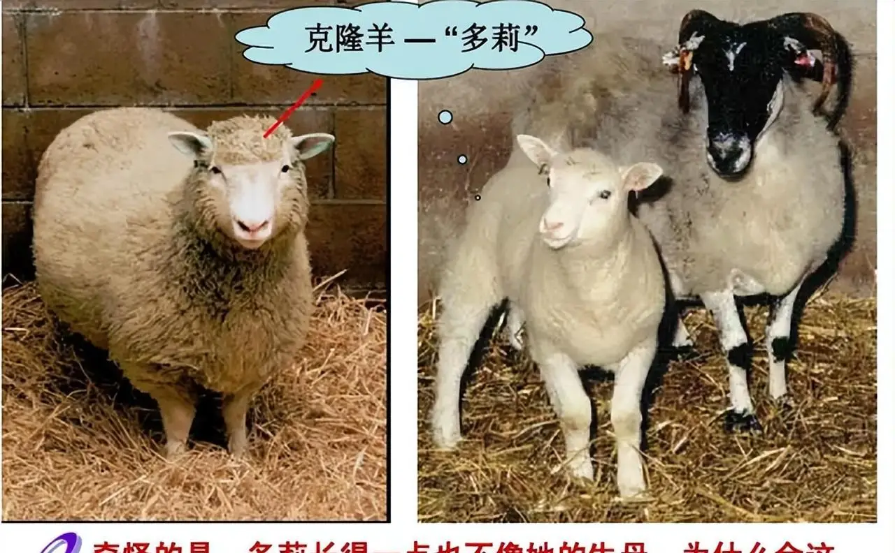 克罗恩进医保_克罗恩医保用药_克罗恩类克能医保吗