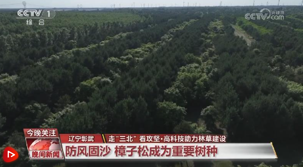 论文技术指标怎么写_论文技术路线图是什么意思_3s技术的论文
