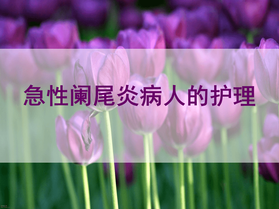 急性炎护理手术阑尾后多久恢复_急性阑尾炎手术后护理_急性阑尾炎术后5个护理问题