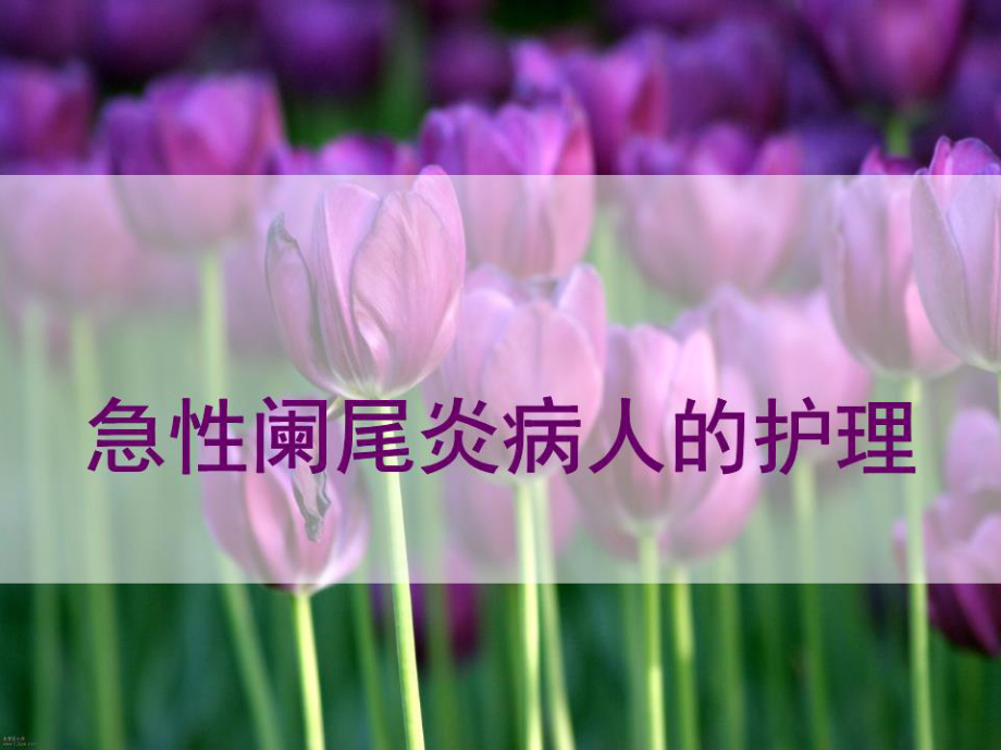 急性阑尾炎术后5个护理问题_急性炎护理手术阑尾后多久恢复_急性阑尾炎手术后护理