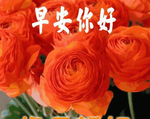 扫描完成_recovernt根本扫描不完_原本扫描