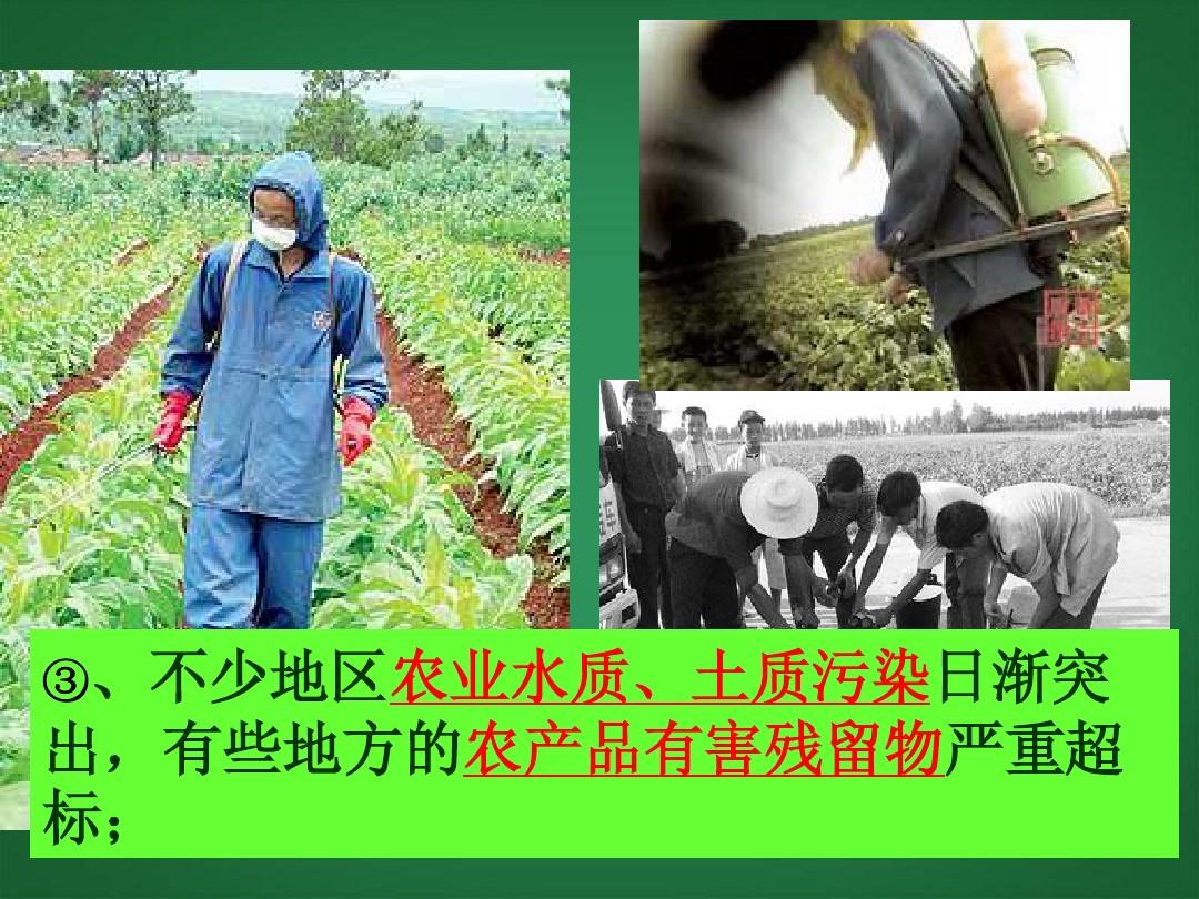 严重政治错误_严重政治后果_身份政治很严重