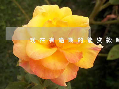 破坏修复协议书_drvmgrui被破坏怎么修复_破坏修复联系单怎么处理