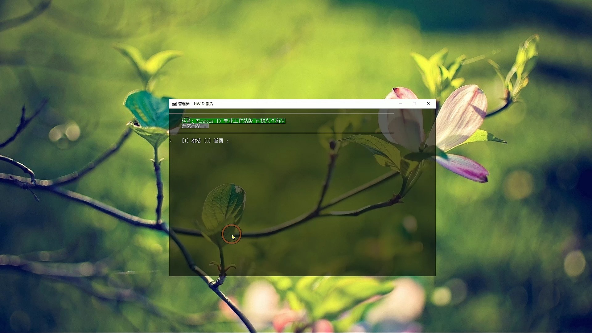 win10 激活 下载_激活下载安装_激活下载app