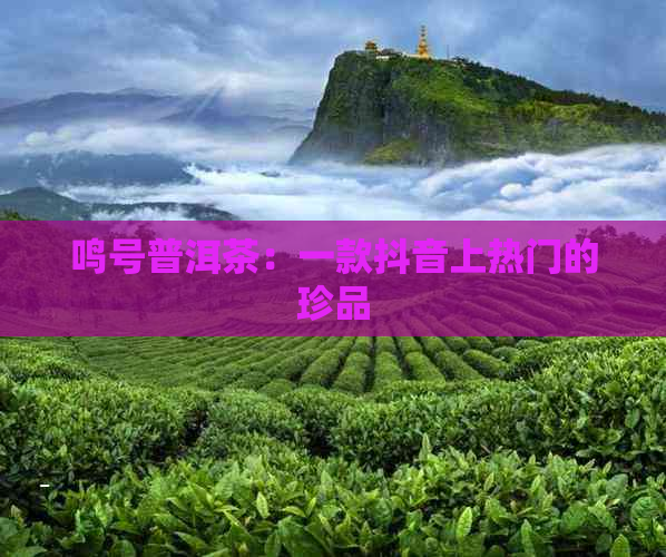 ecshop高仿和茶网2024版综合商城模板_ecshop积分商城模板_ecshop微商城模板