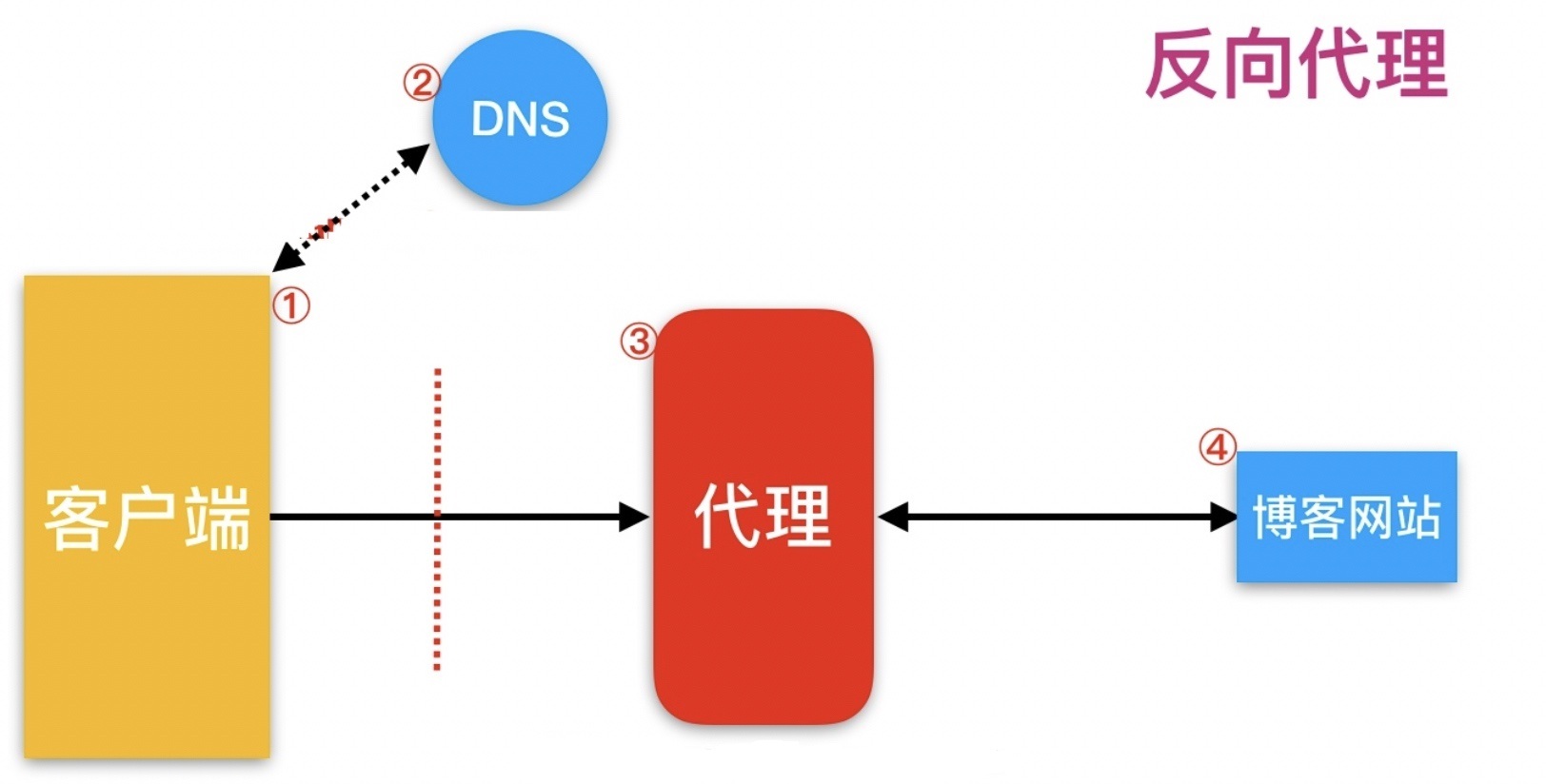 nginx配置代理_代理配置文件_代理配置文件怎么弄